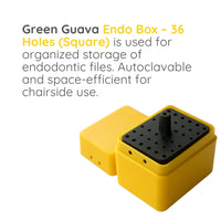 Green Guava square endo box with 36 holes