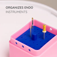 Green Guava square endo box with 36 holes