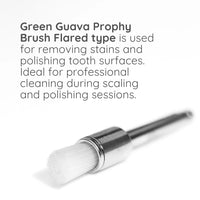 Green Guava dental prophy polishing brushes