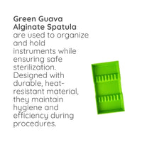 Green Guava autoclavable dental instrument tray